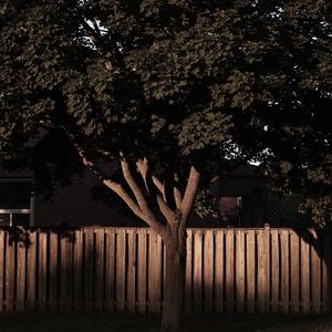 Meet your Posher, Maggie